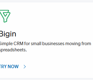 Zoho Bigin