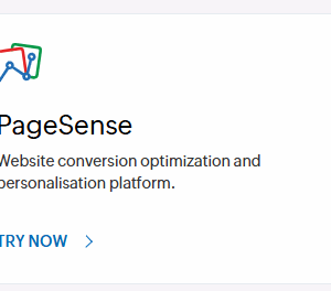 Zoho PageSense